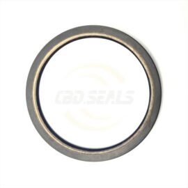 2.1529.081.0/20 High Quality Aftermarket Seals